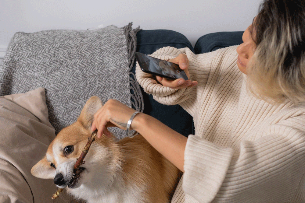 Tendencias Instagram 2023